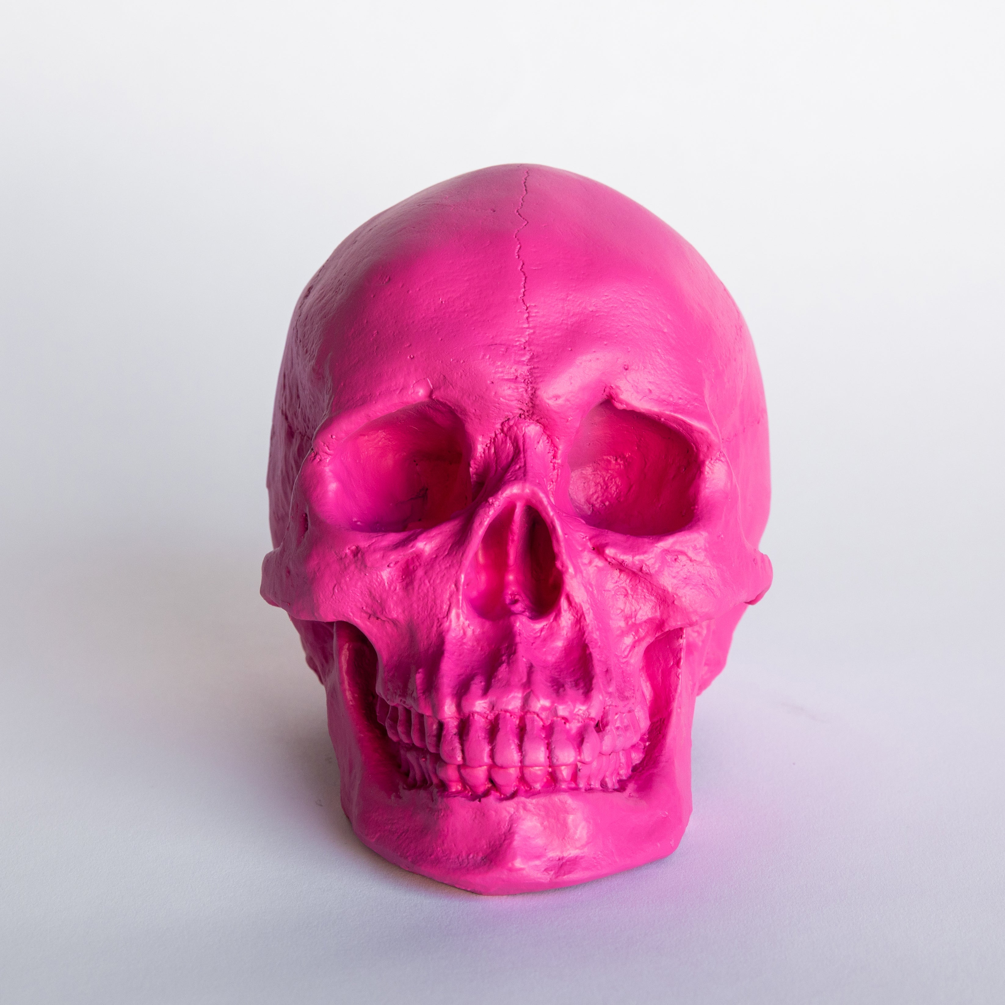 Faux Human Skull