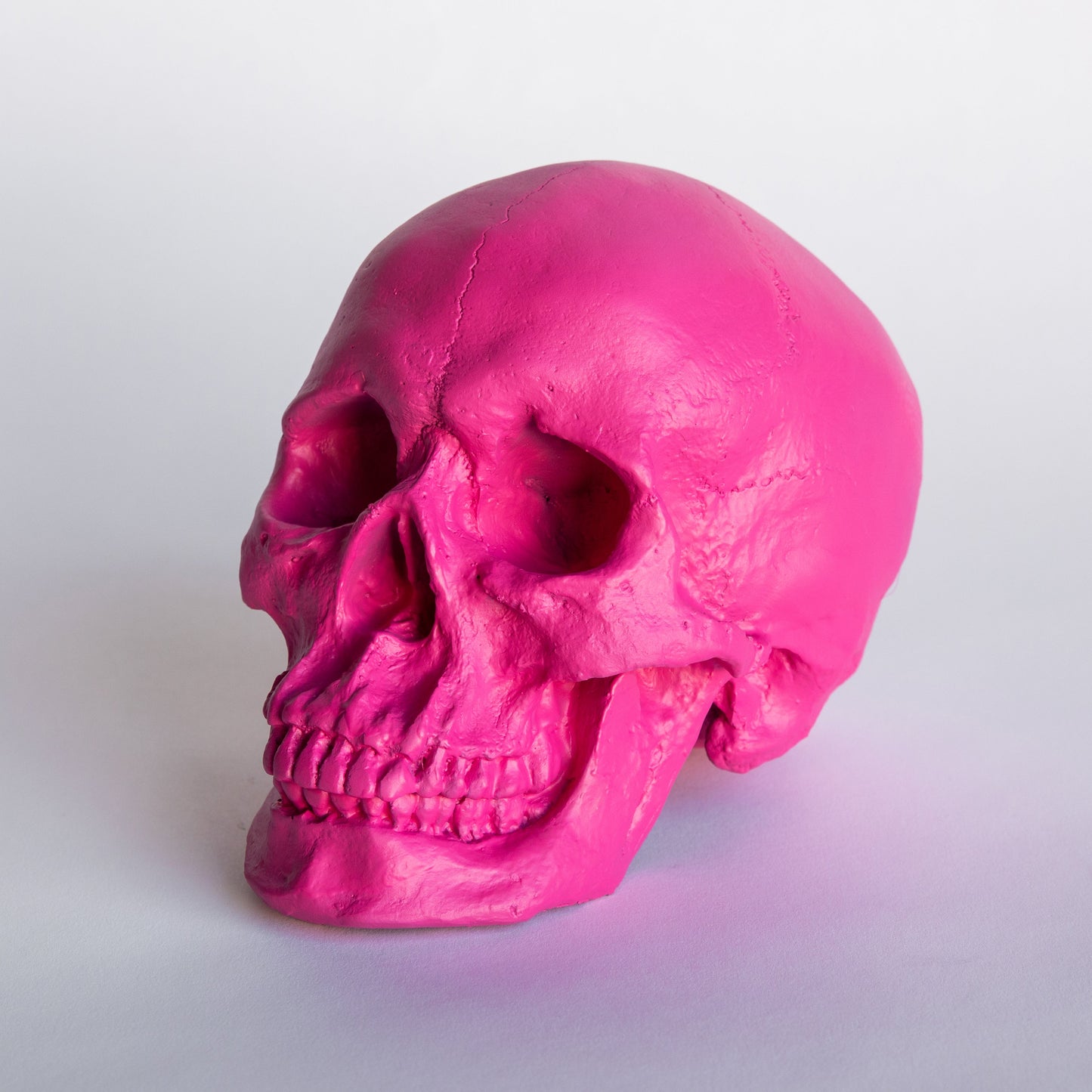 Faux Human Skull