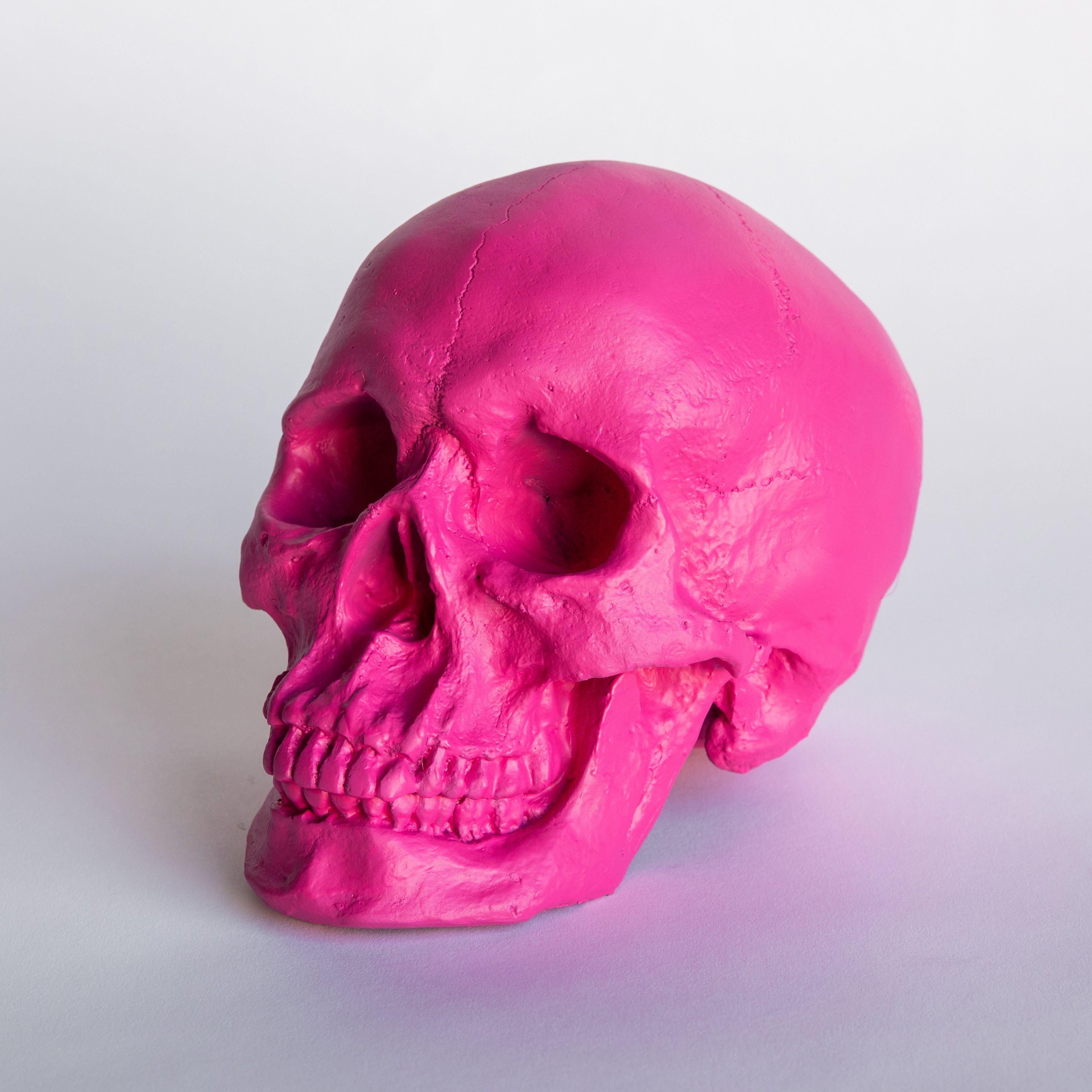 Faux Human Skull