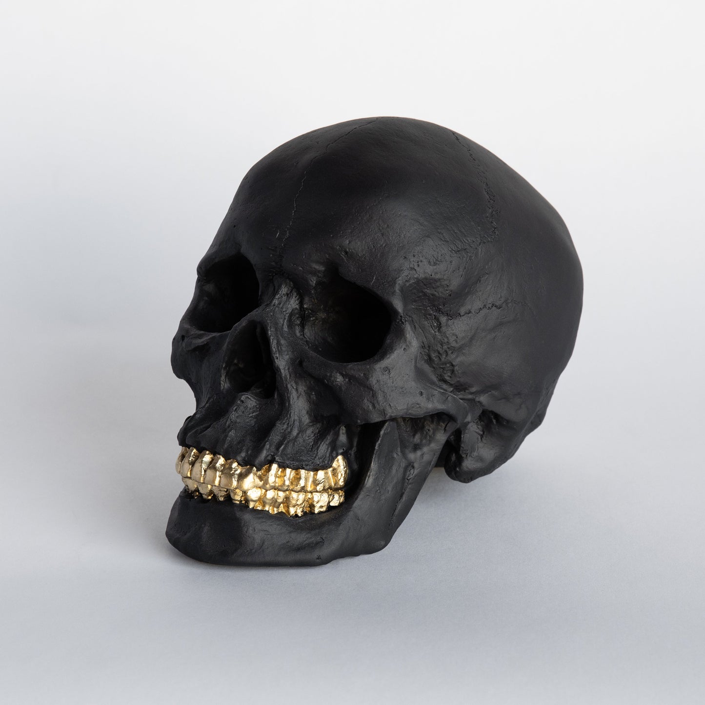 Faux Human Skull