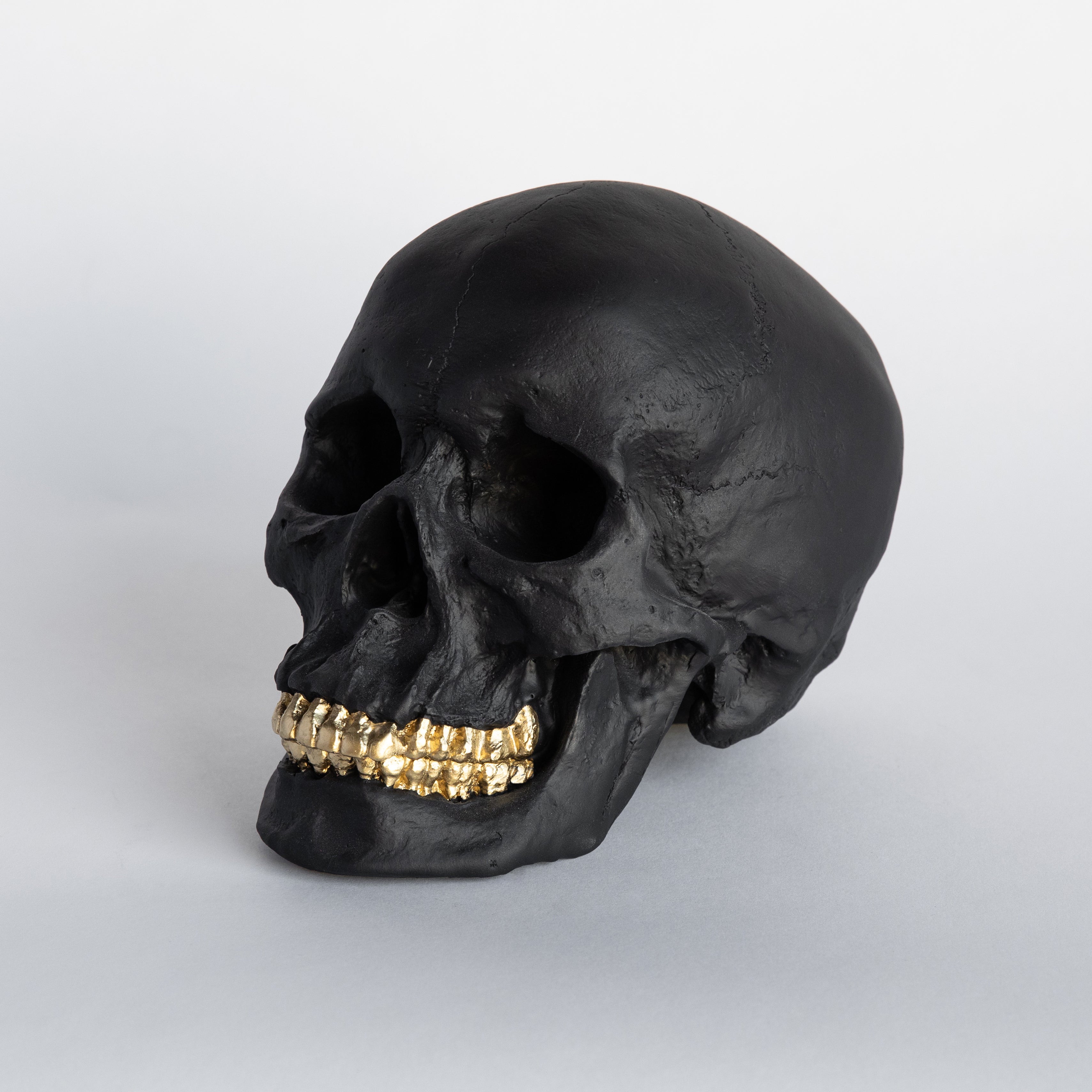 Faux Human Skull