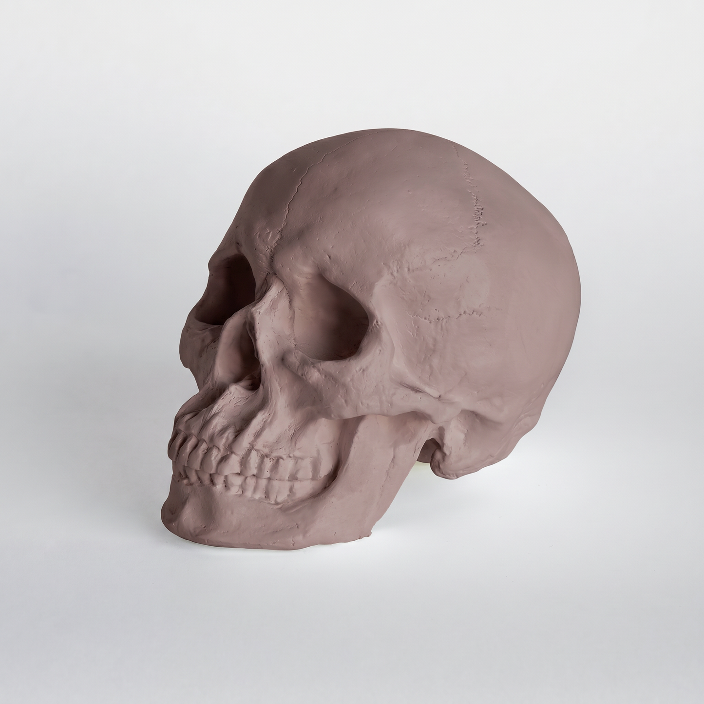 Faux Human Skull