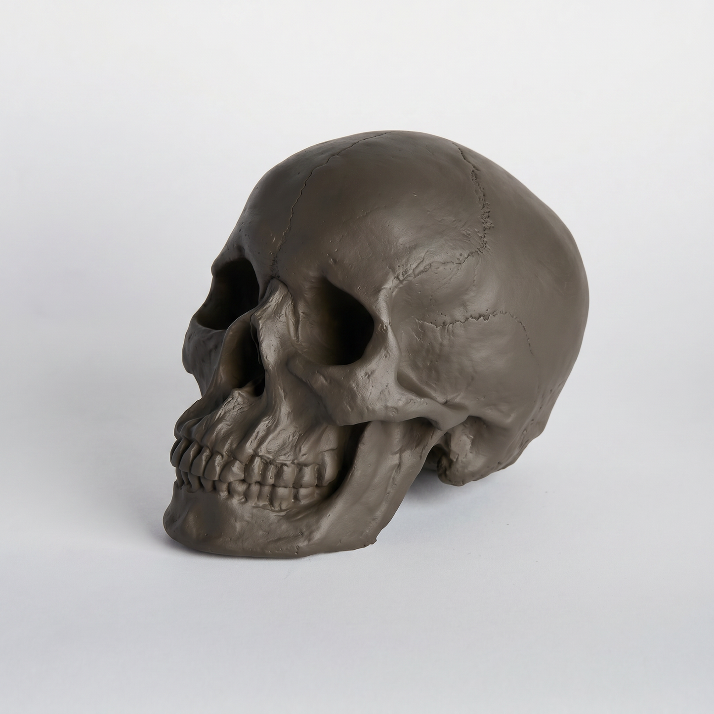 Faux Human Skull