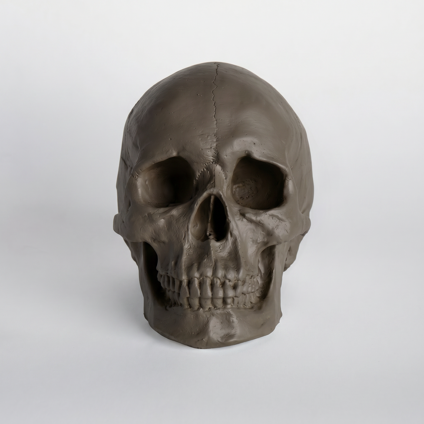 Faux Human Skull
