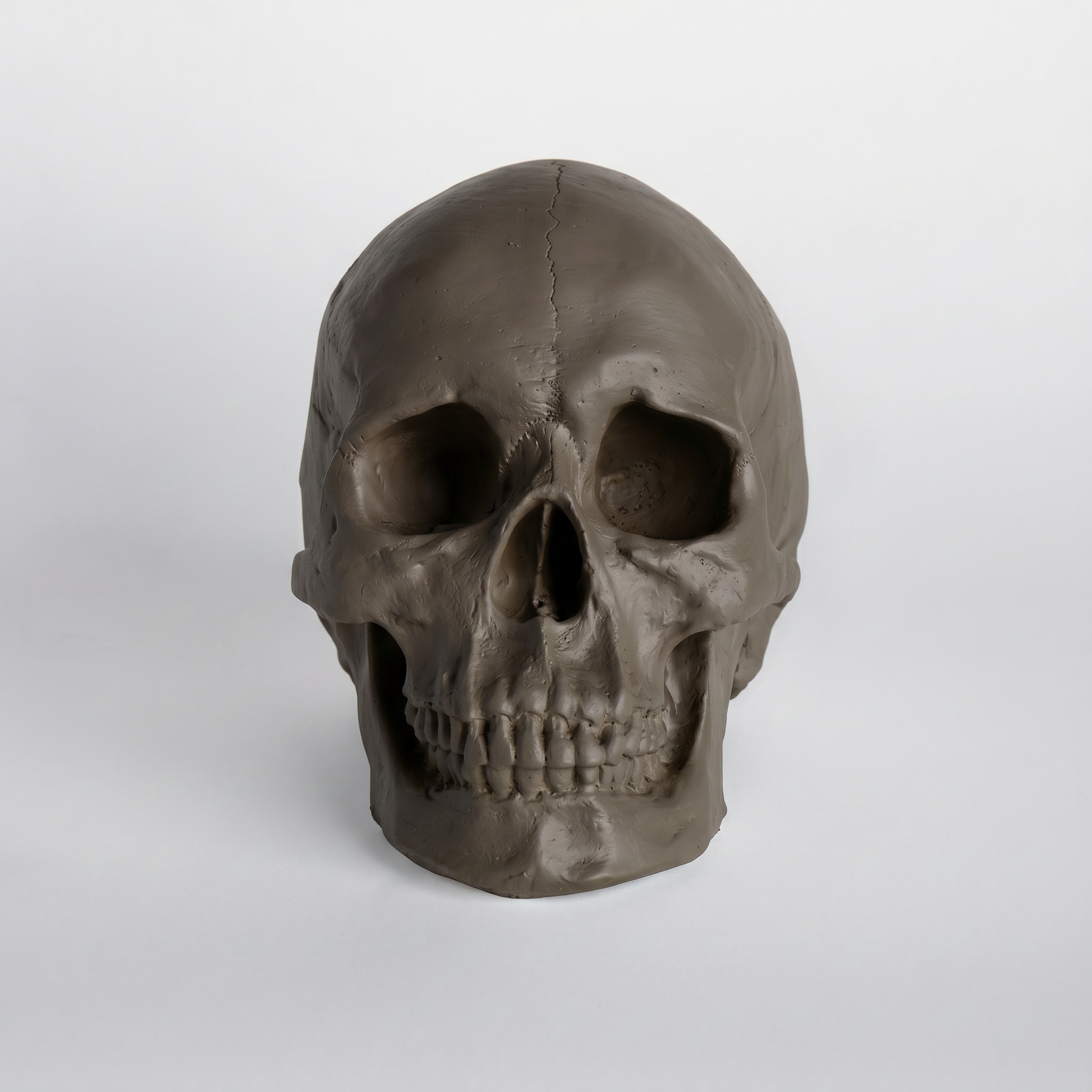 Faux Human Skull