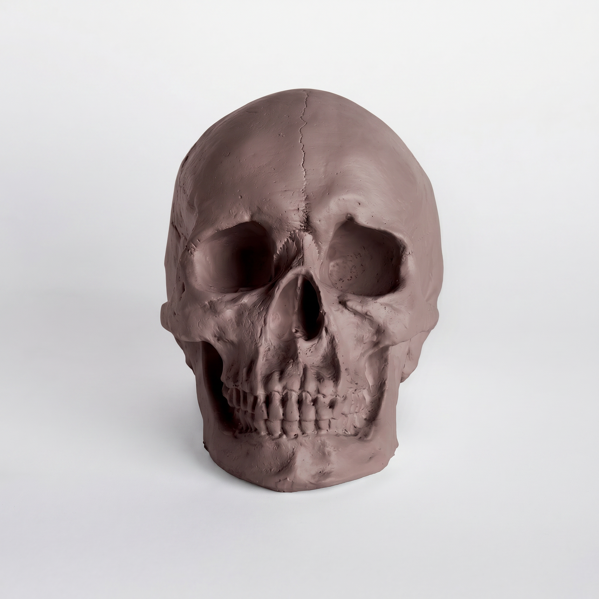 Faux Human Skull