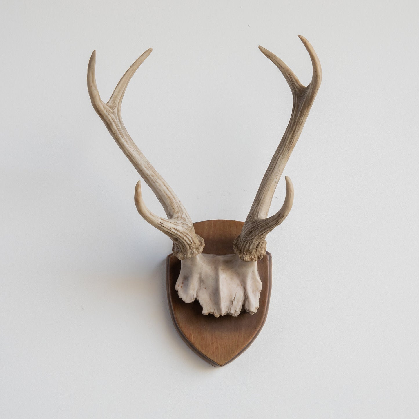 Faux Hunters Trophy
