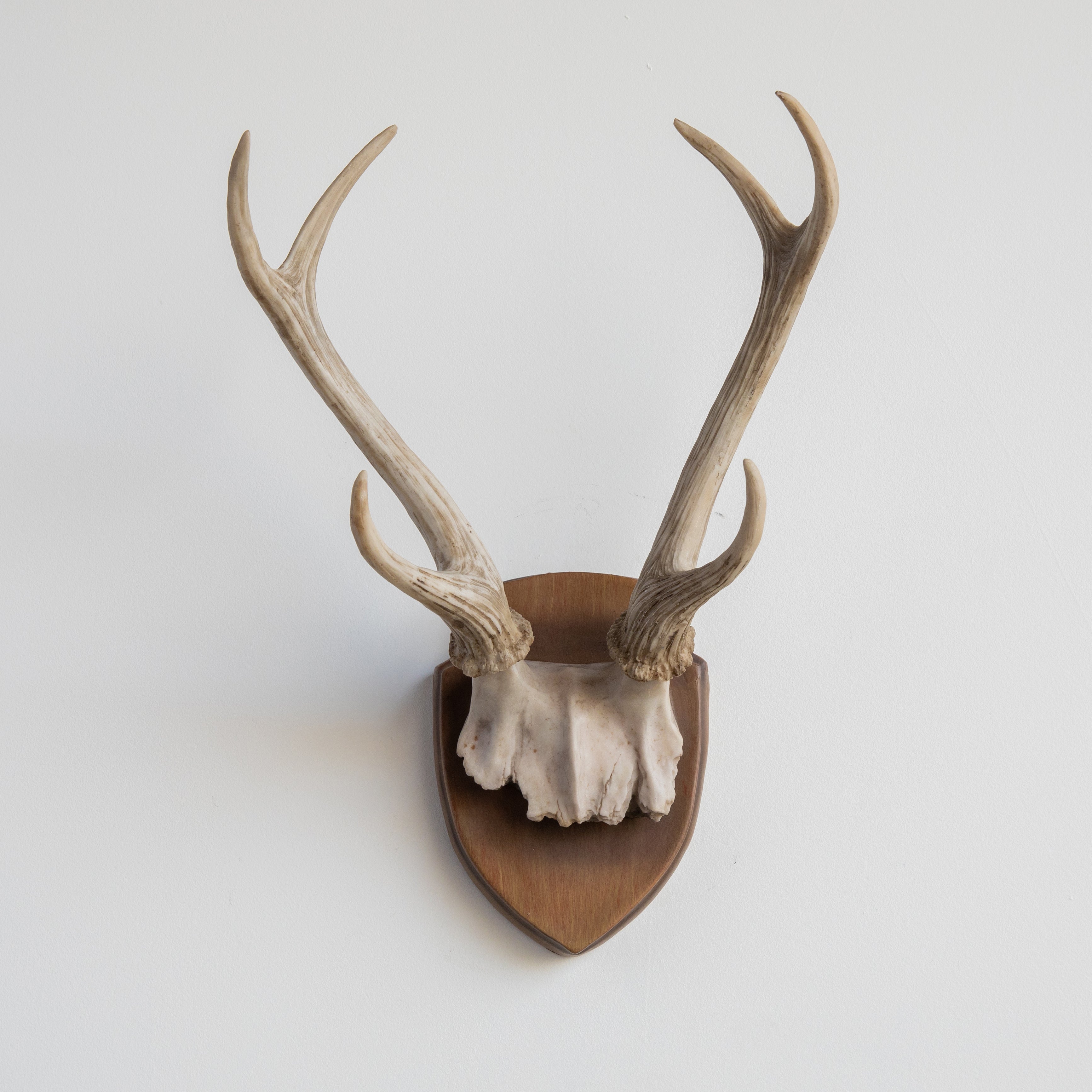 Faux Hunters Trophy