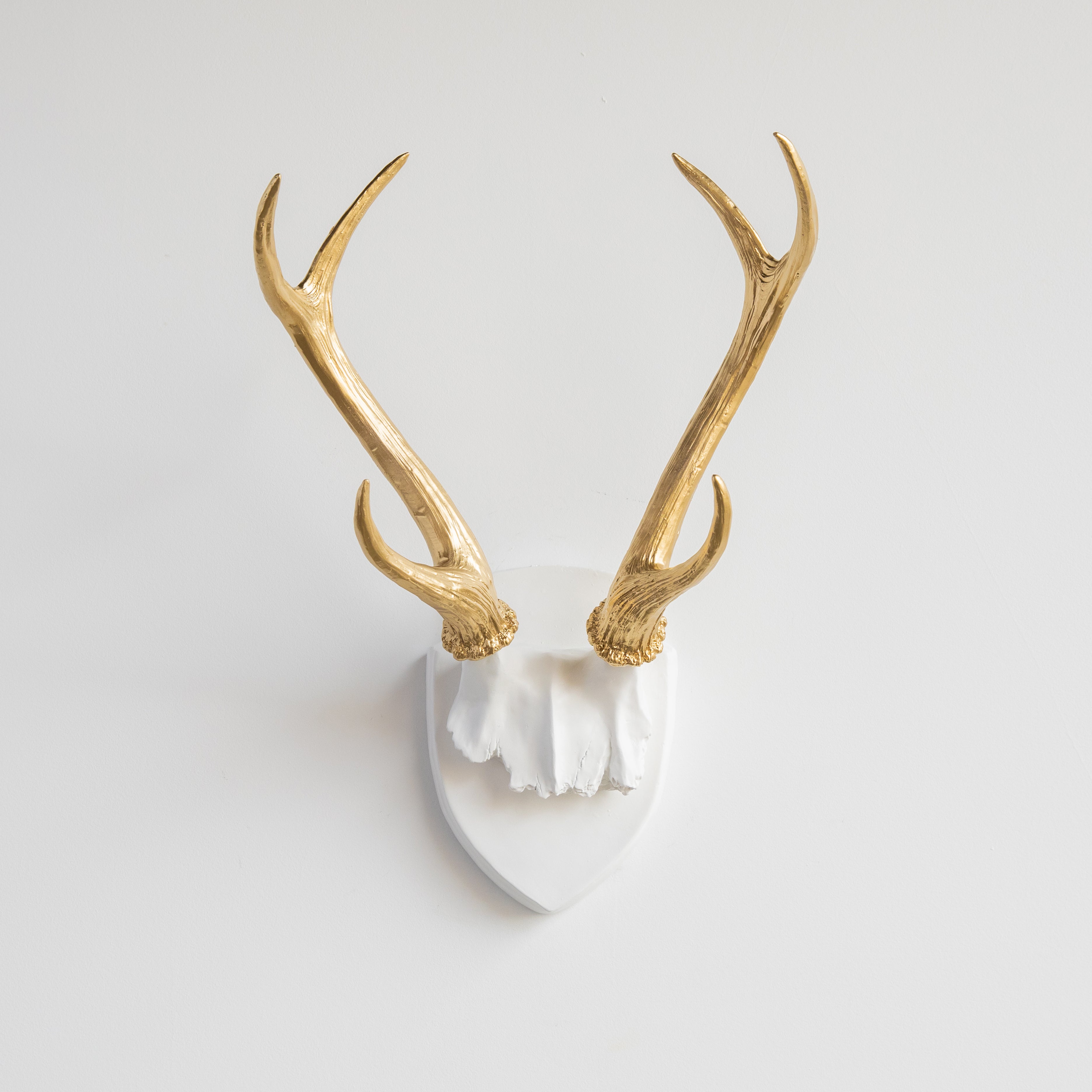 Faux Hunters Trophy