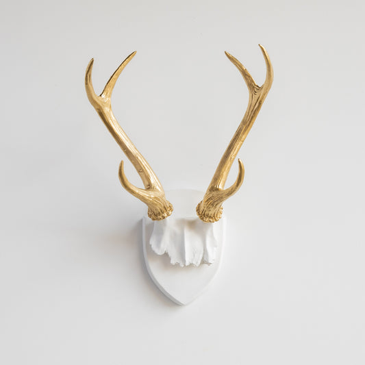 Faux Hunters Trophy