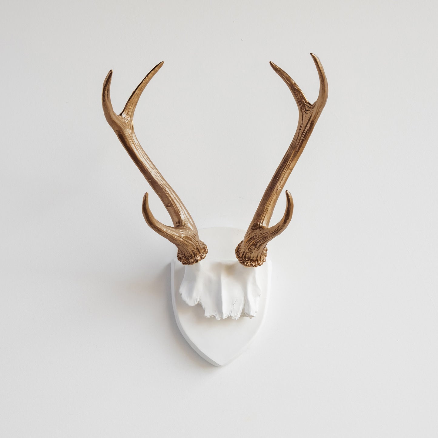 Faux Hunters Trophy
