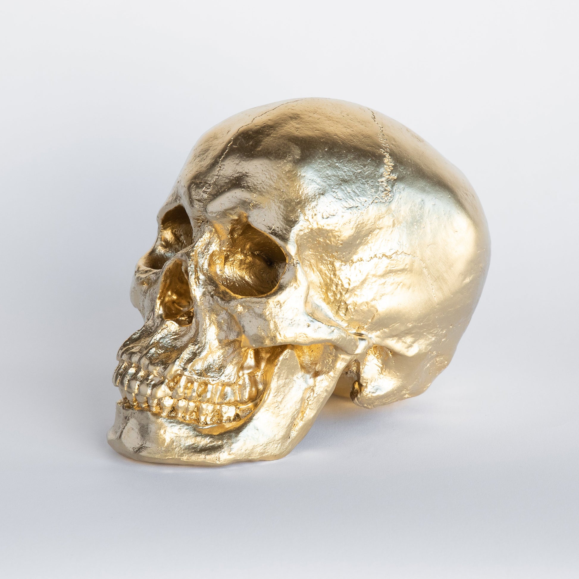 Faux Human Skull