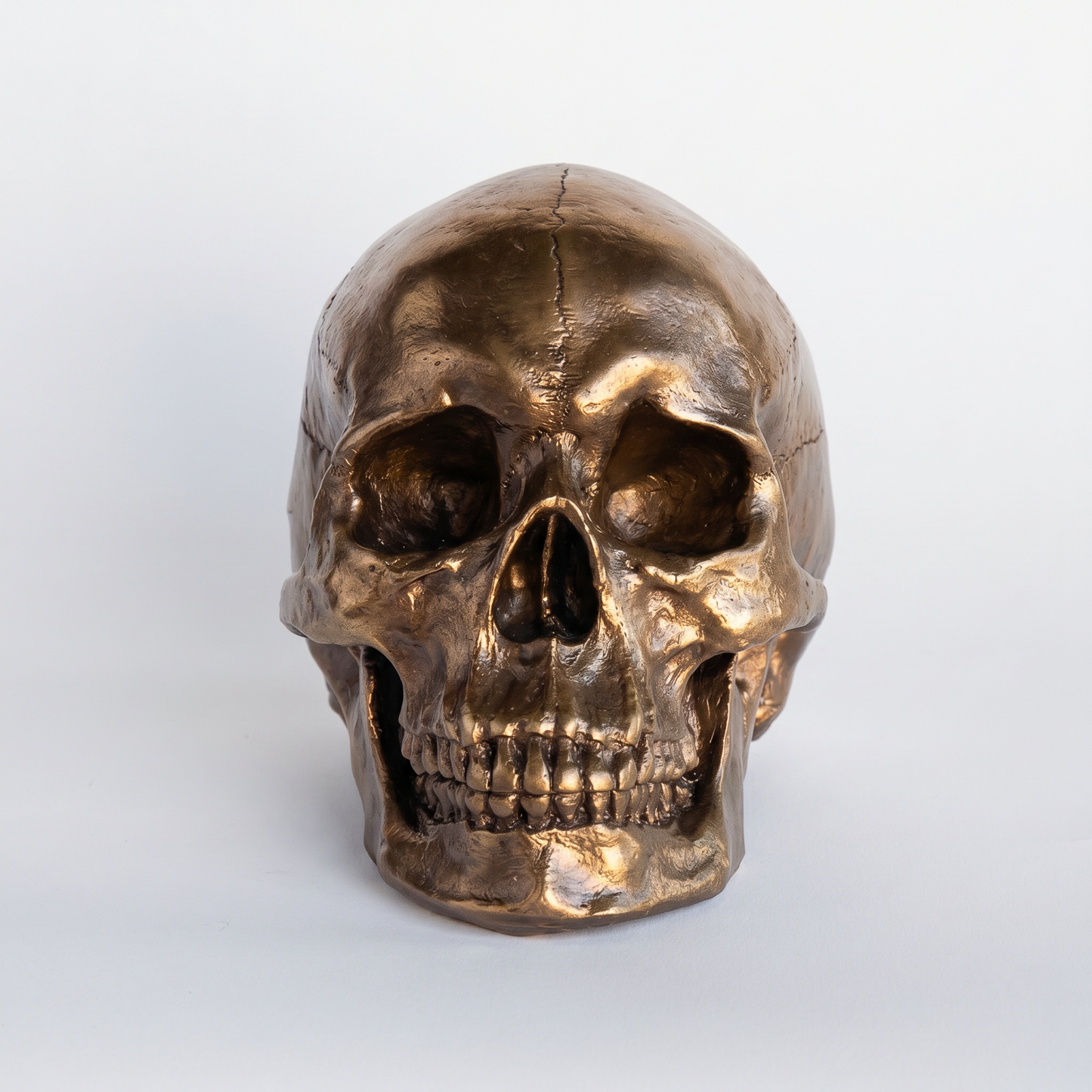 Faux Human Skull