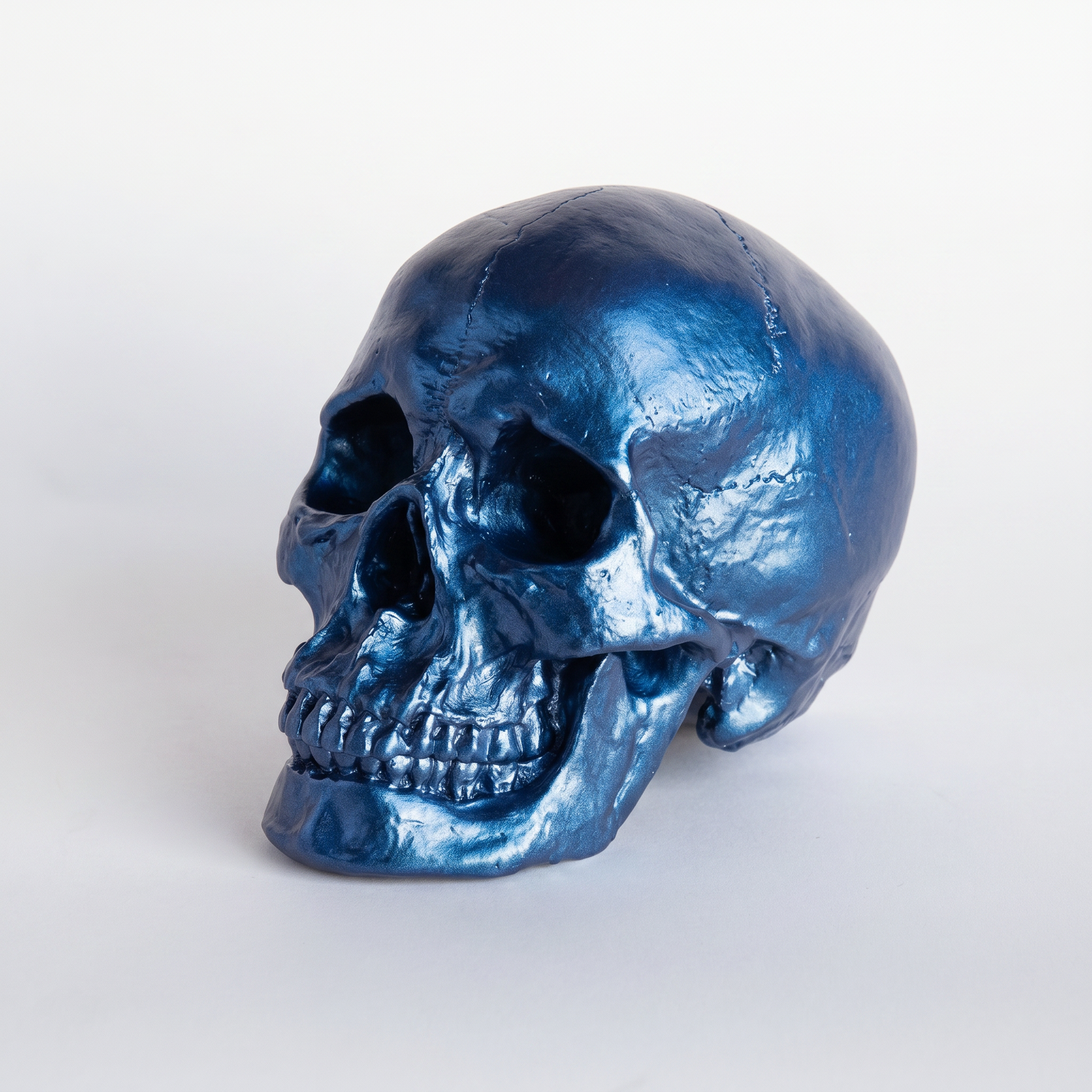 Faux Human Skull