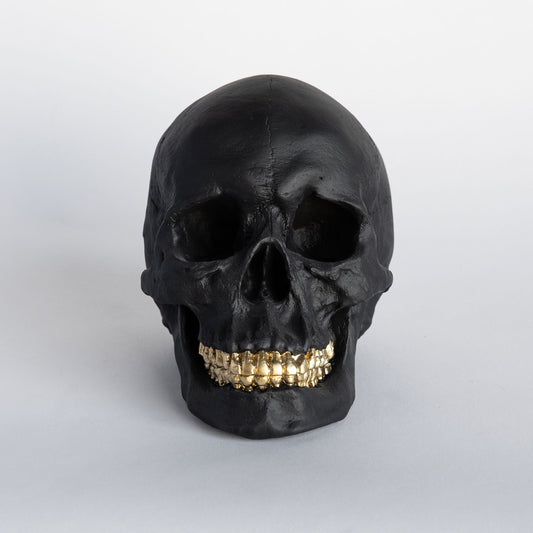 Faux Human Skull