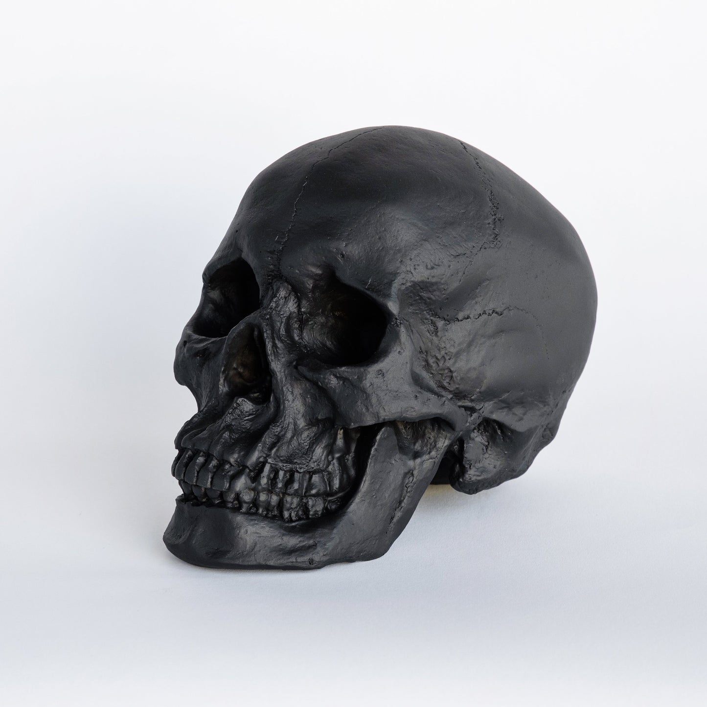 Faux Human Skull