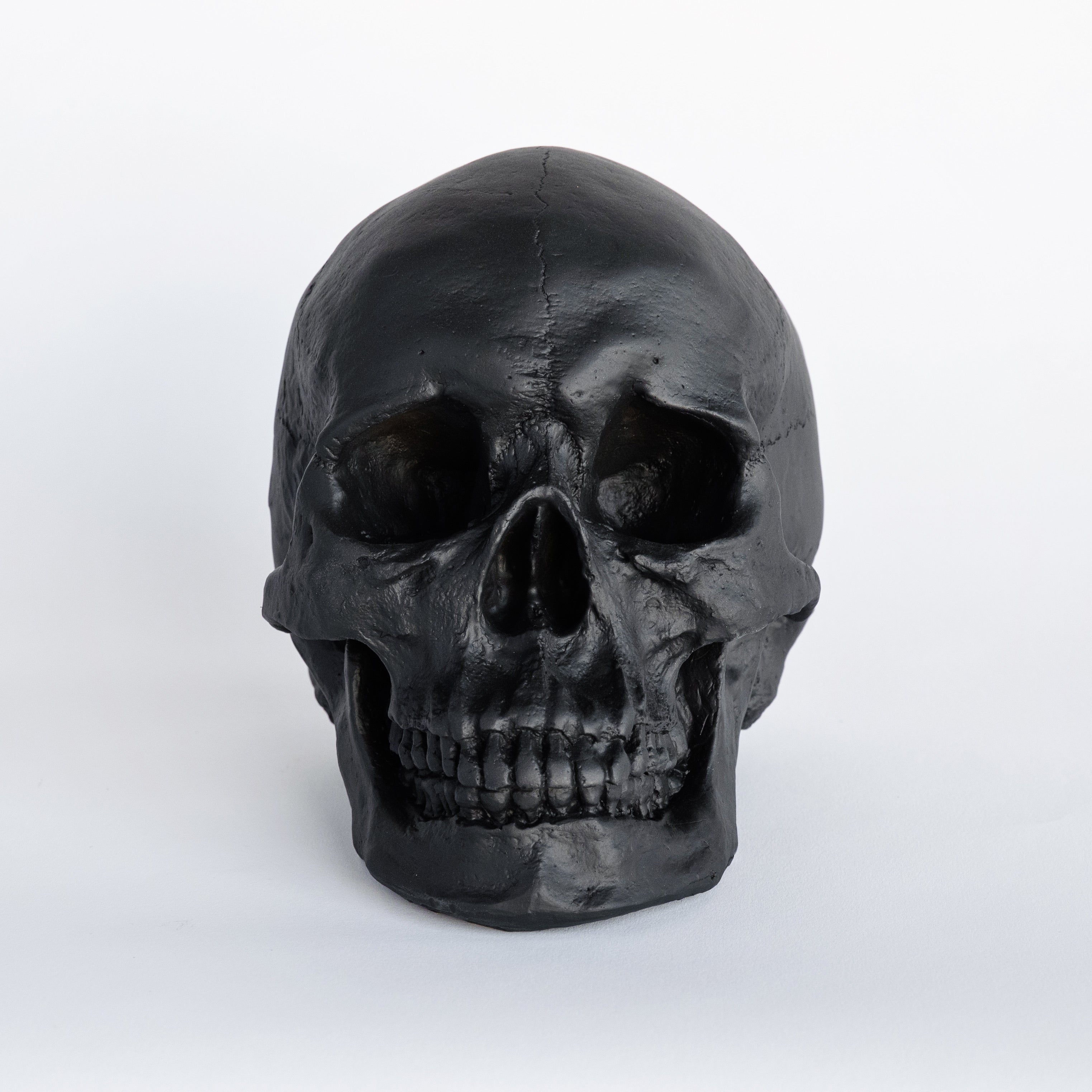 Faux Human Skull