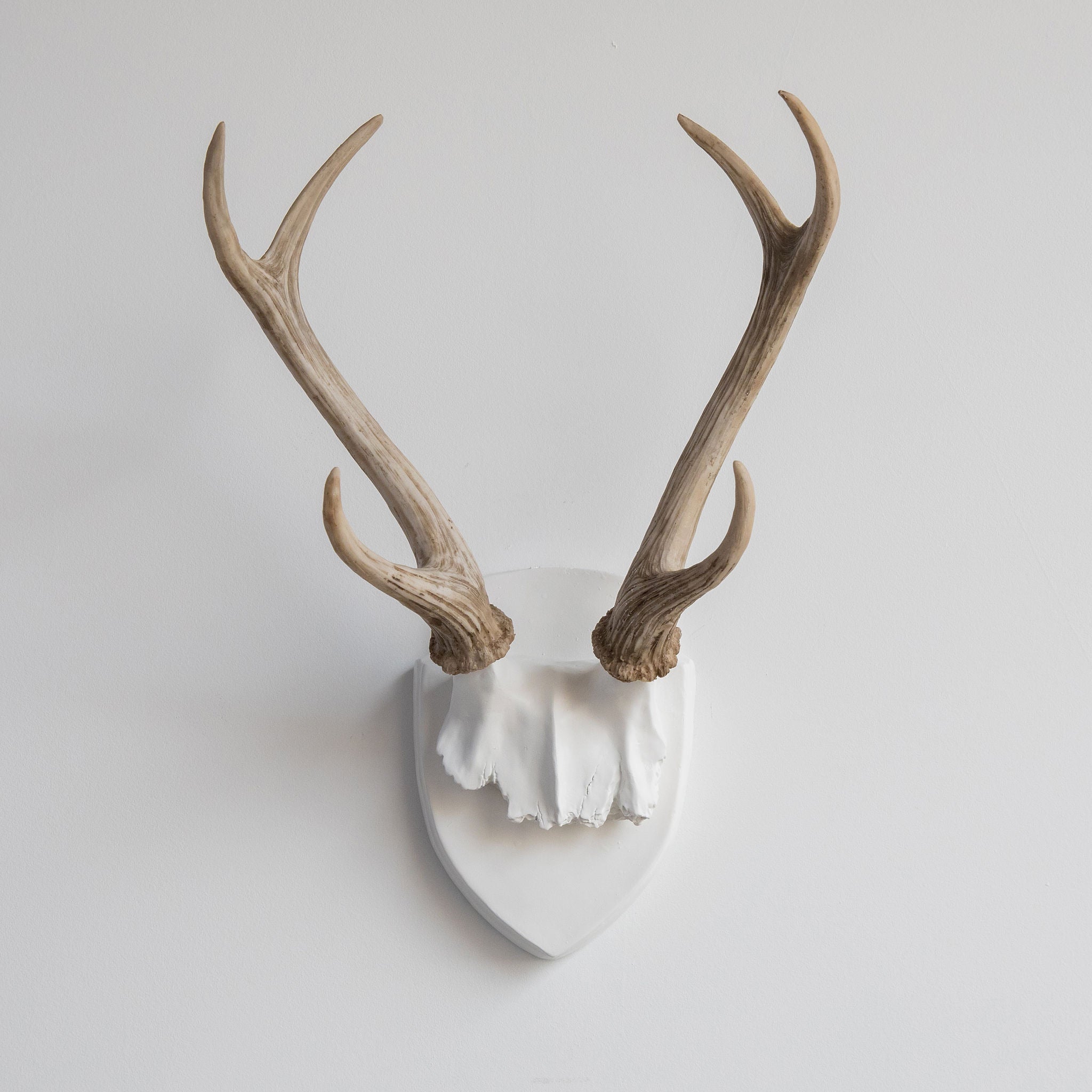 Faux Hunters Trophy