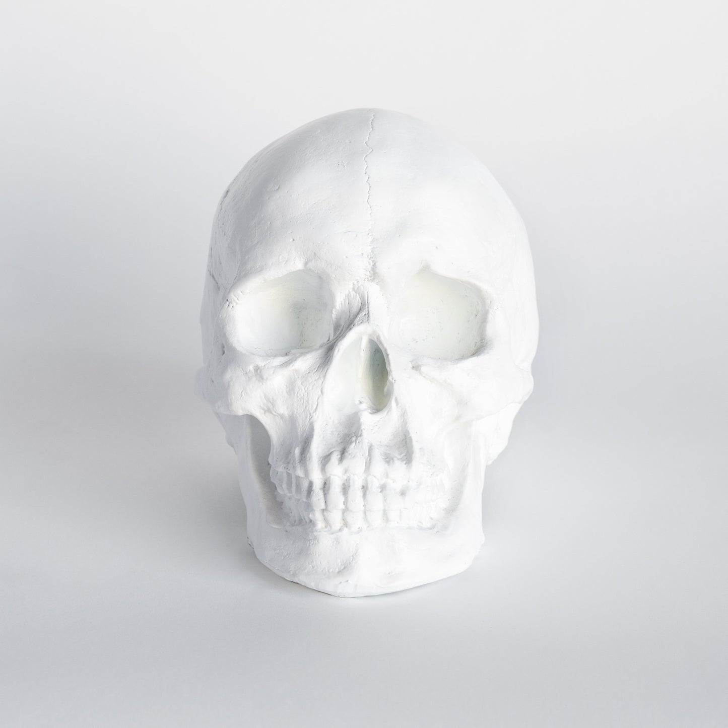 Faux Human Skull