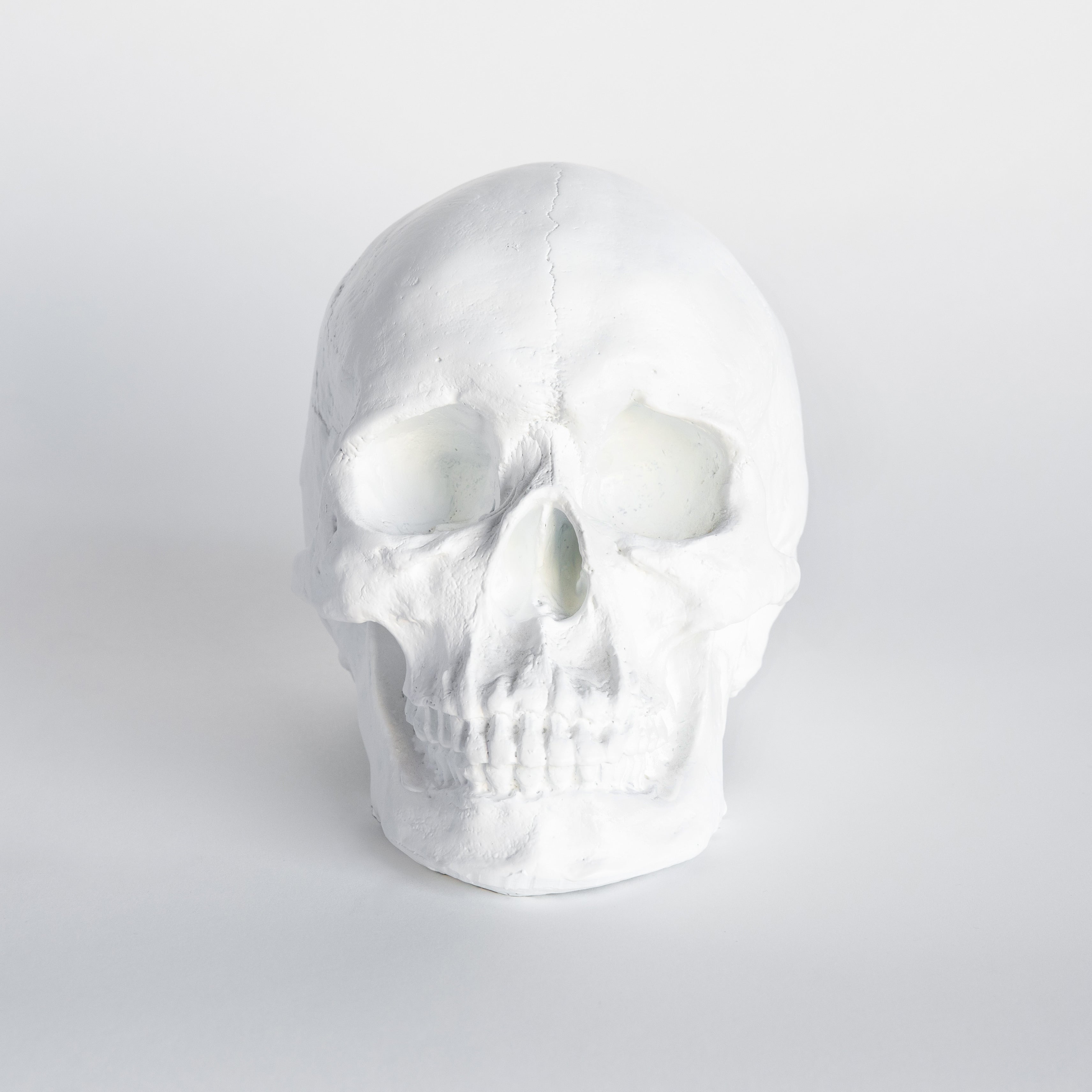 Faux Human Skull