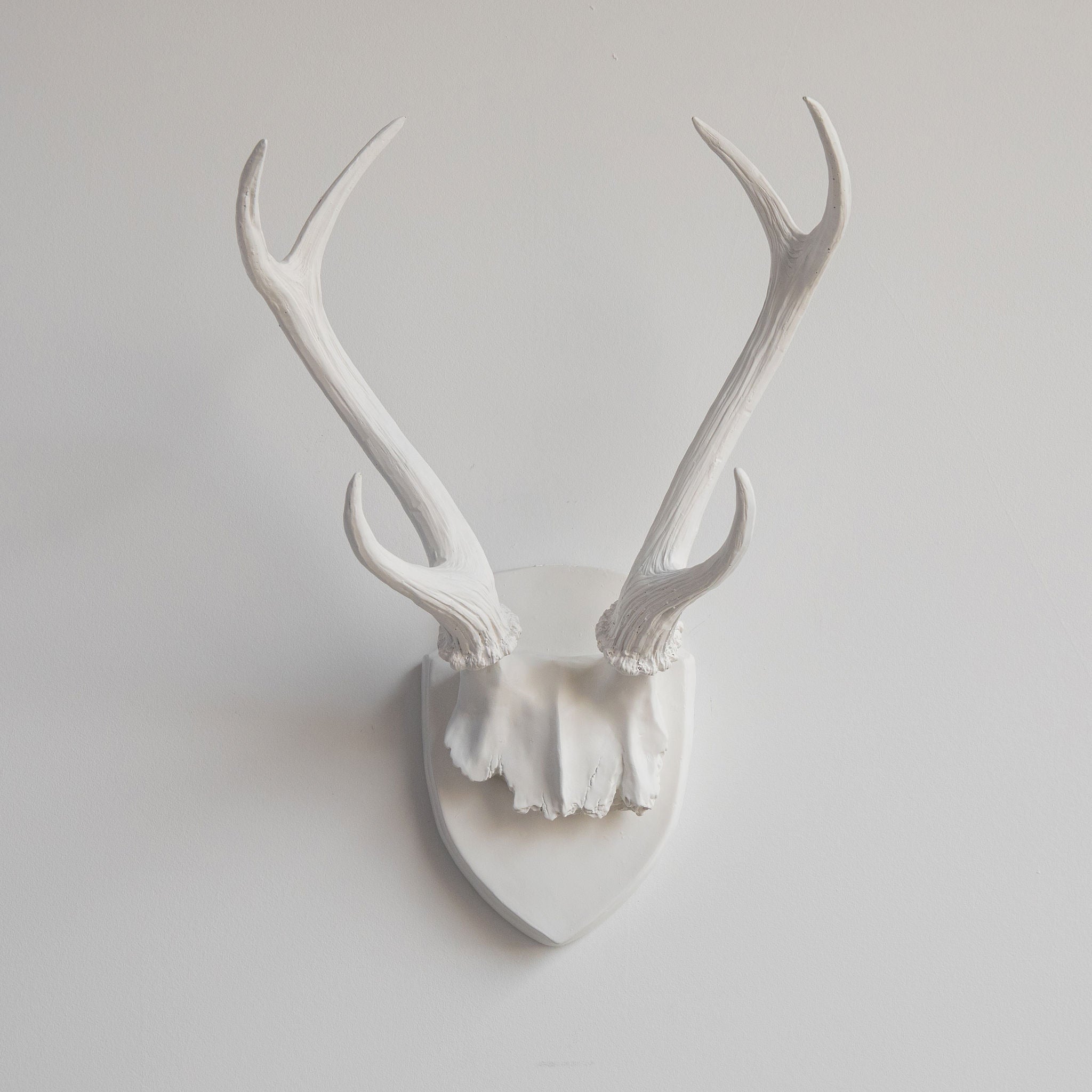 Faux Hunters Trophy