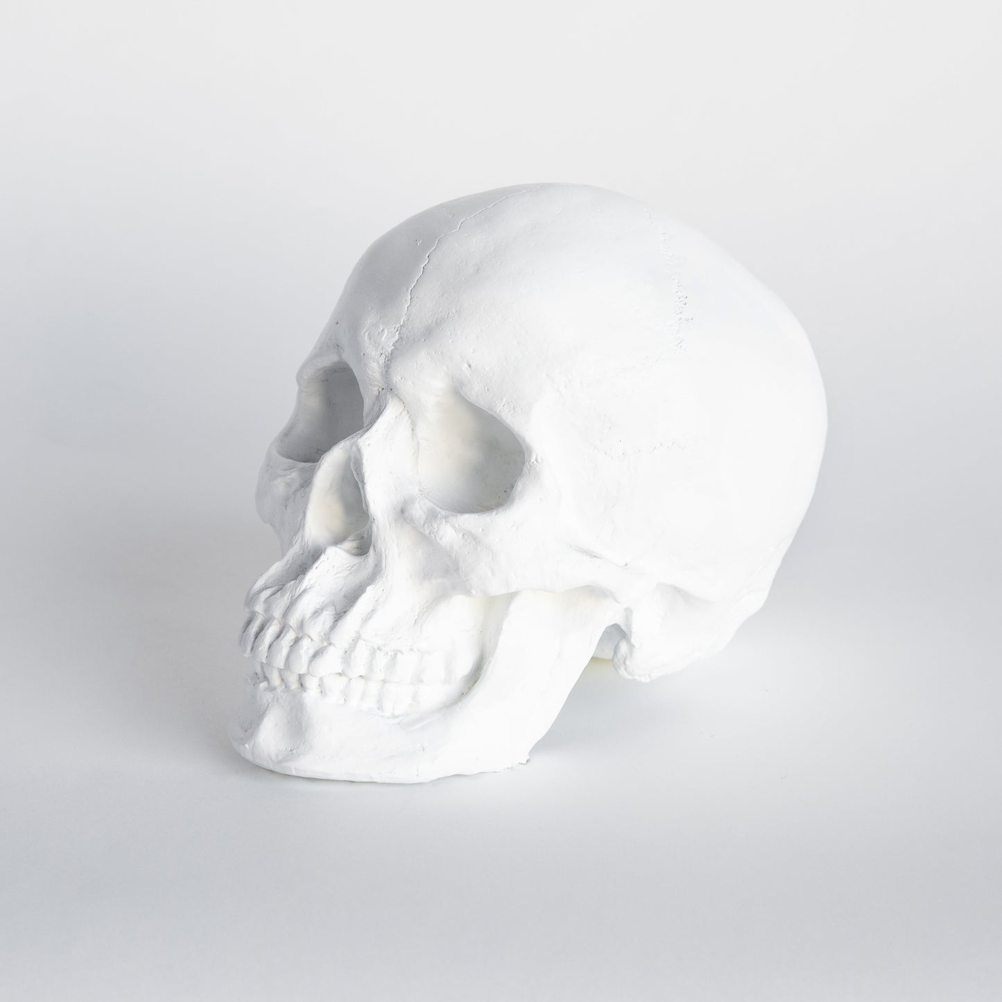 Faux Human Skull