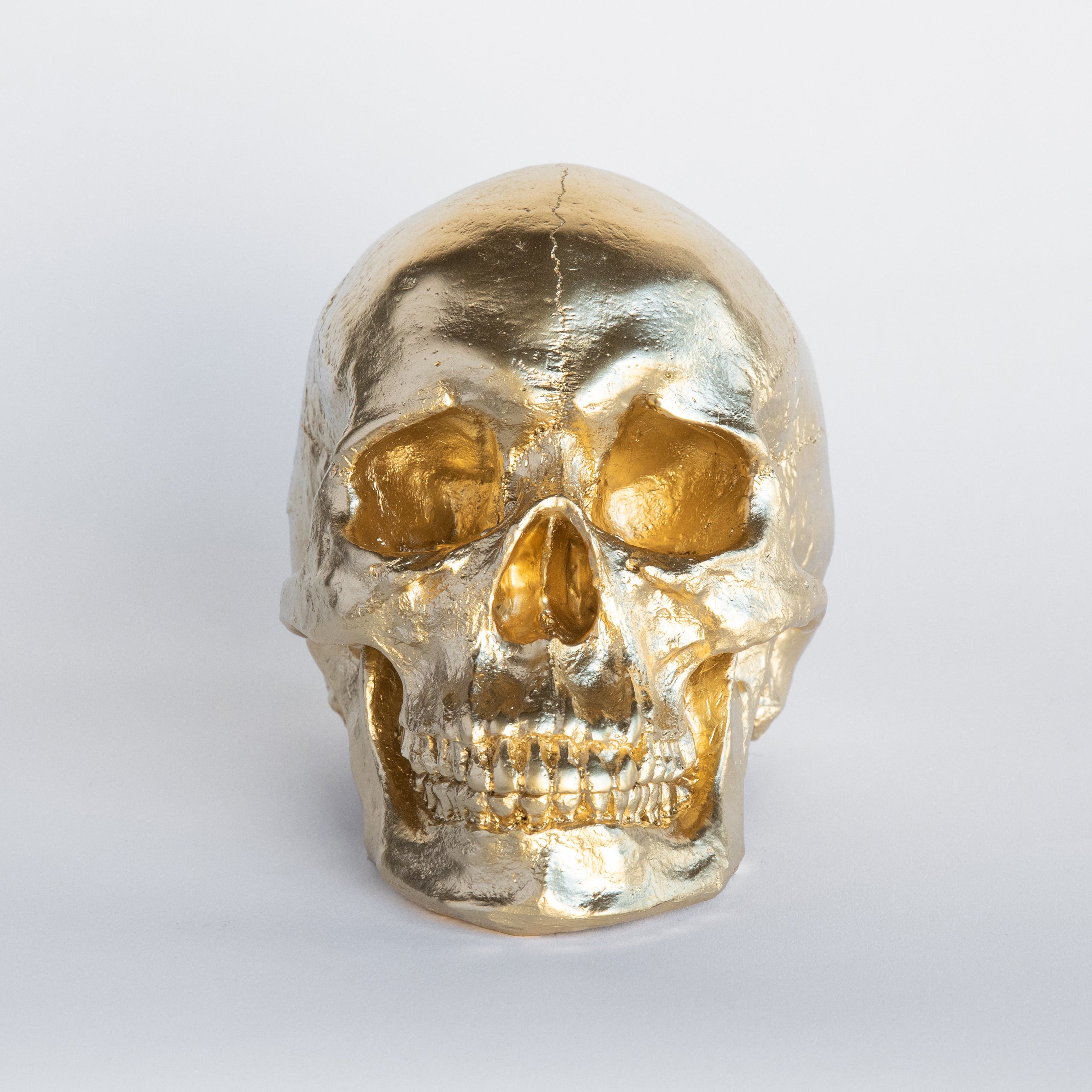 Faux Human Skull