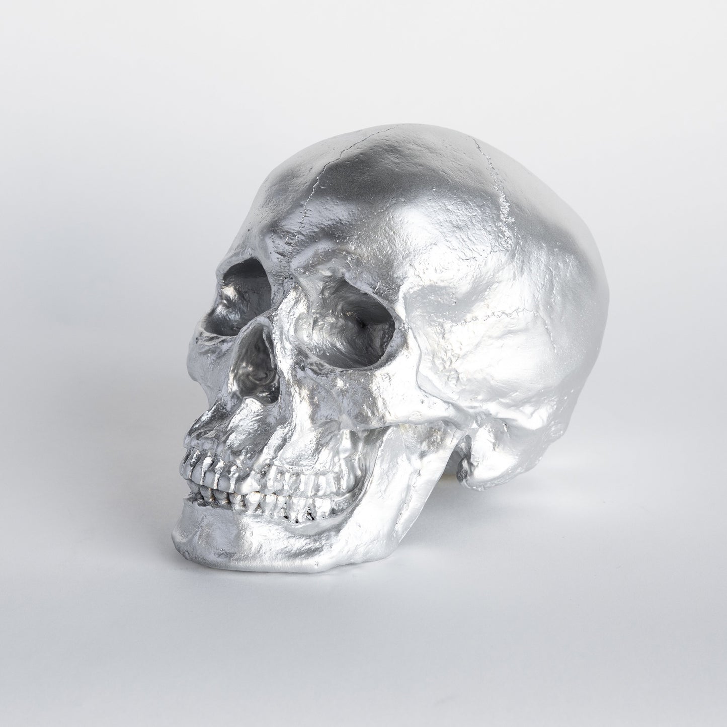 Faux Human Skull