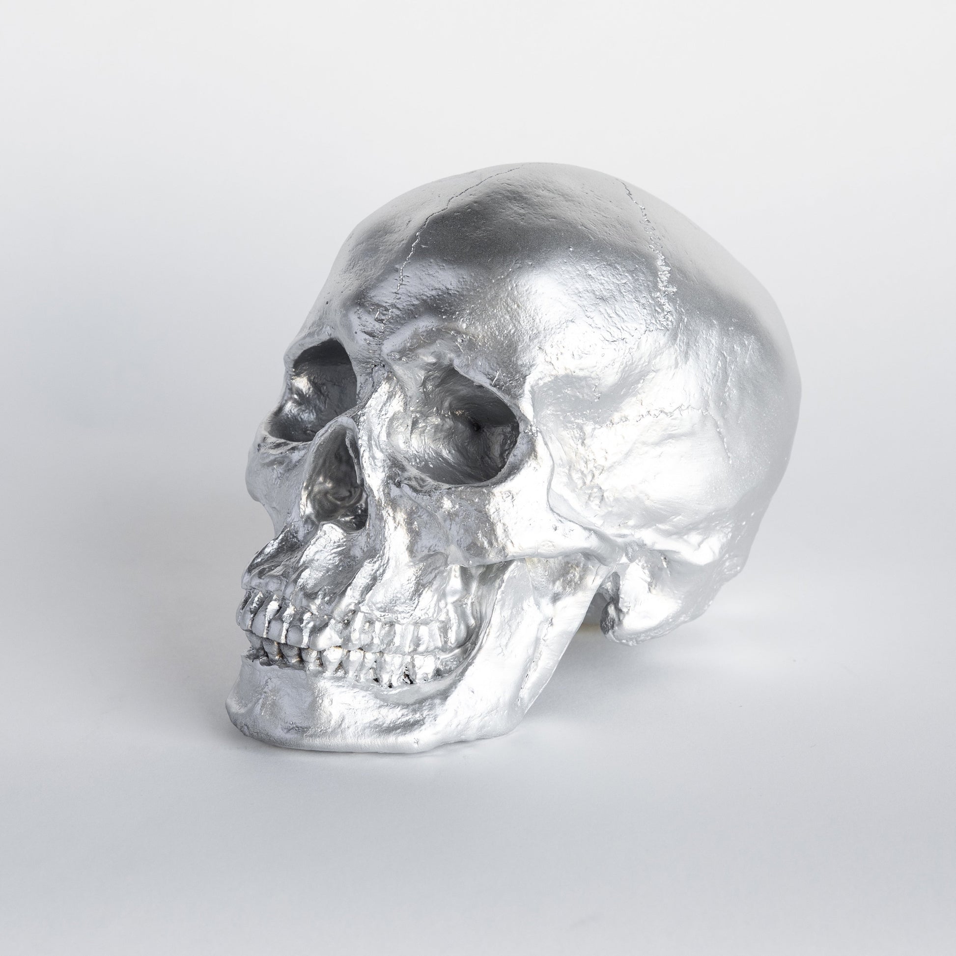 Faux Human Skull