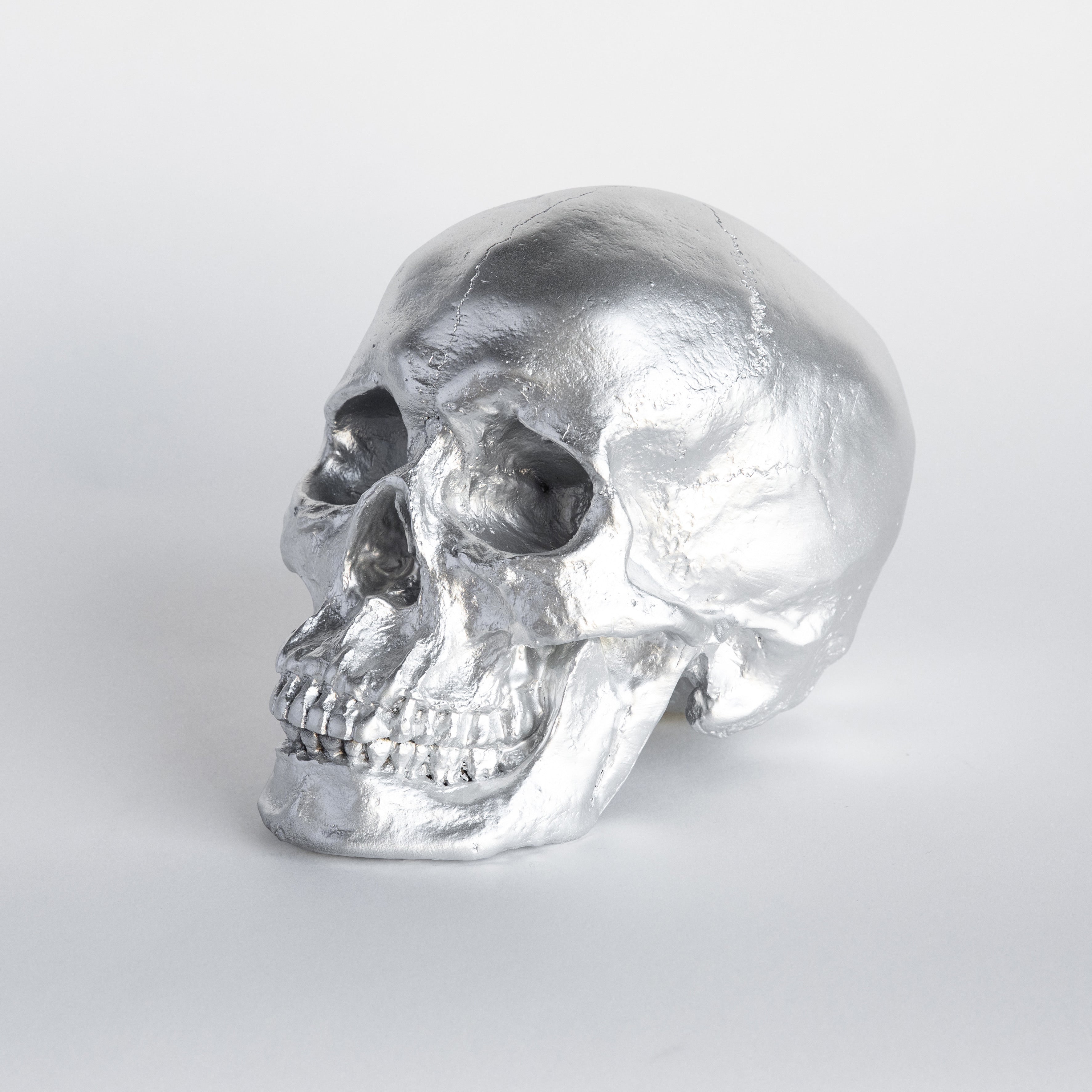 Faux Human Skull