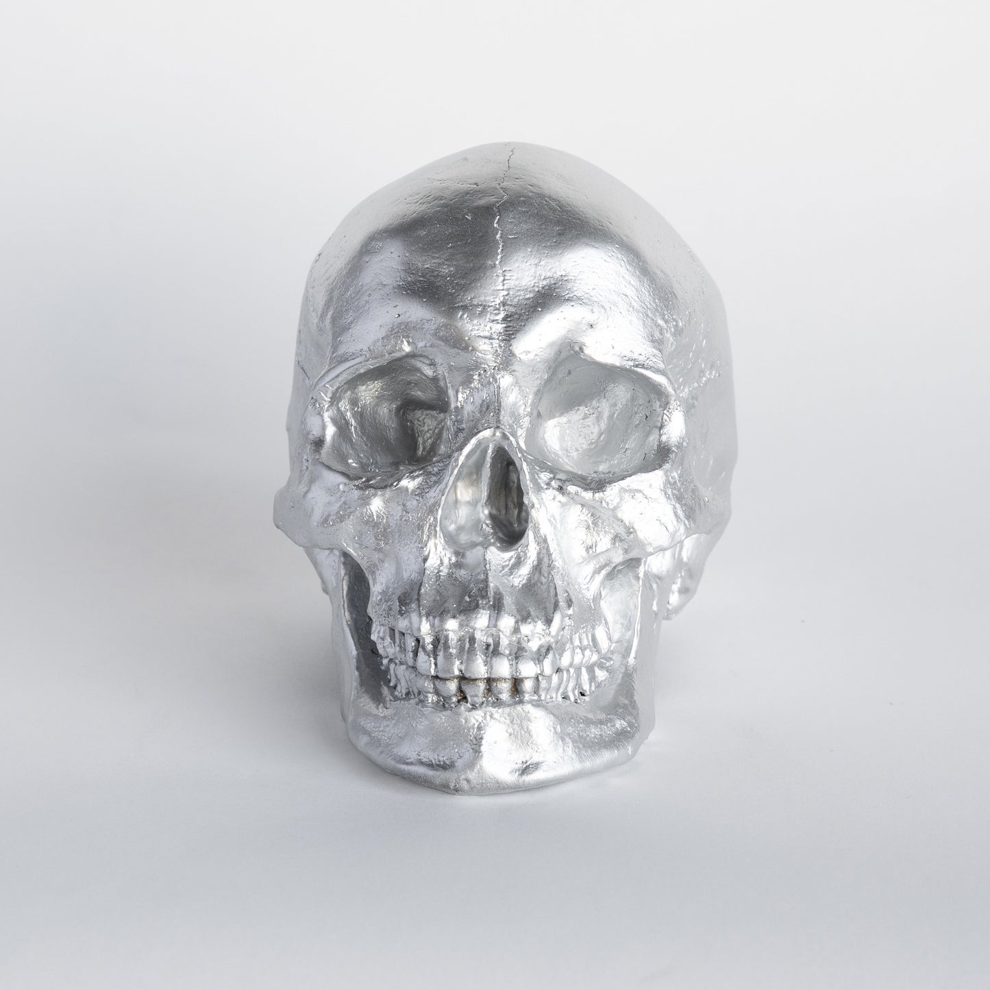 Faux Human Skull