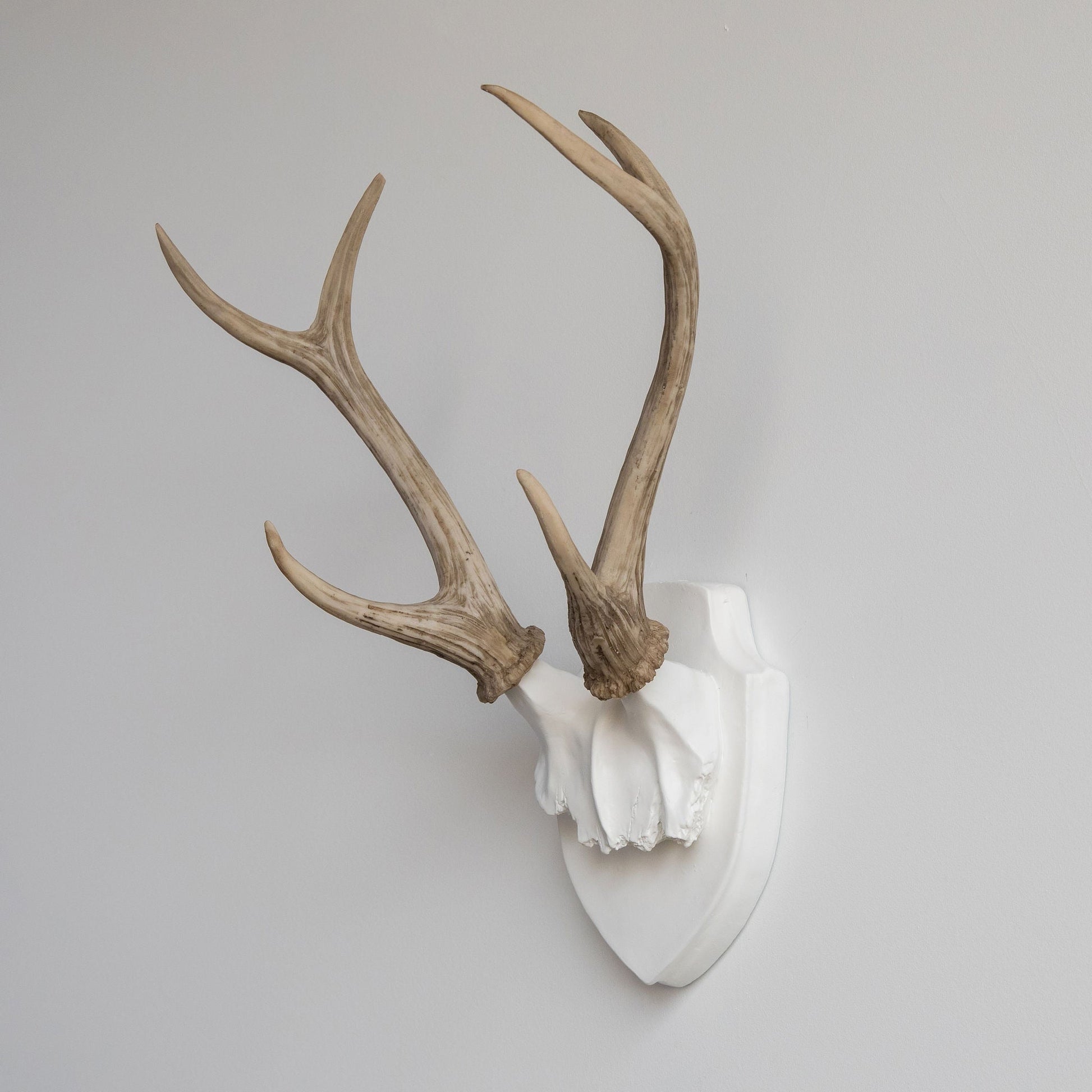 Faux Hunters Trophy
