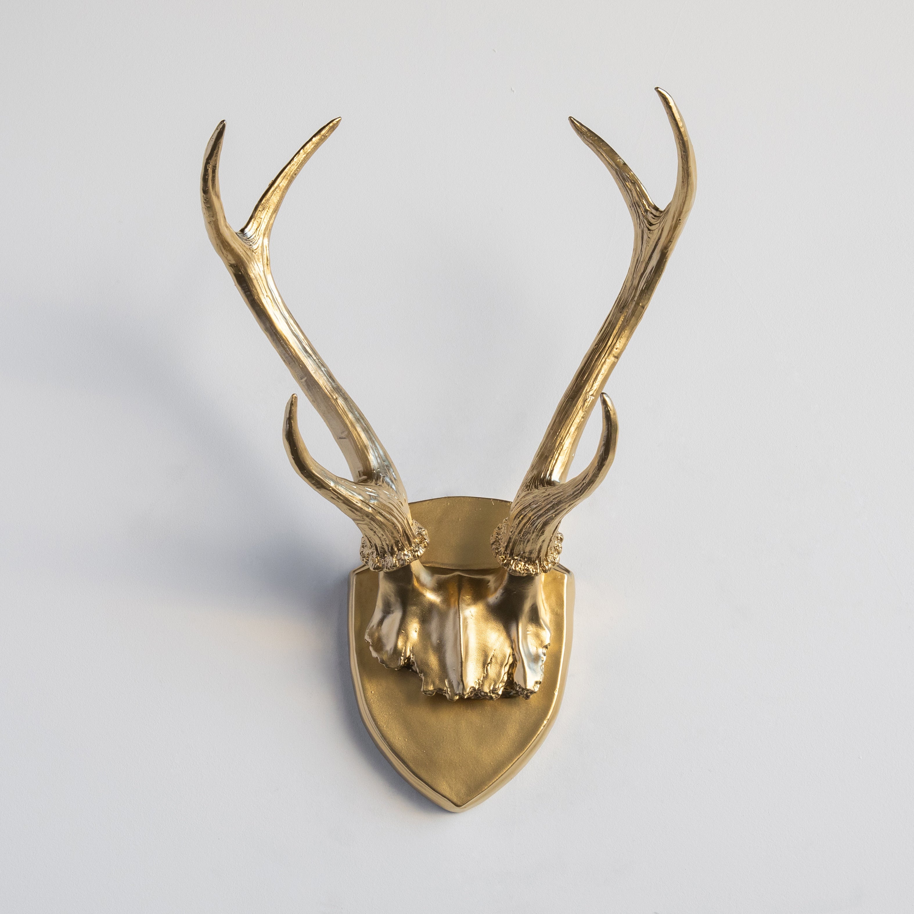 Faux Hunters Trophy